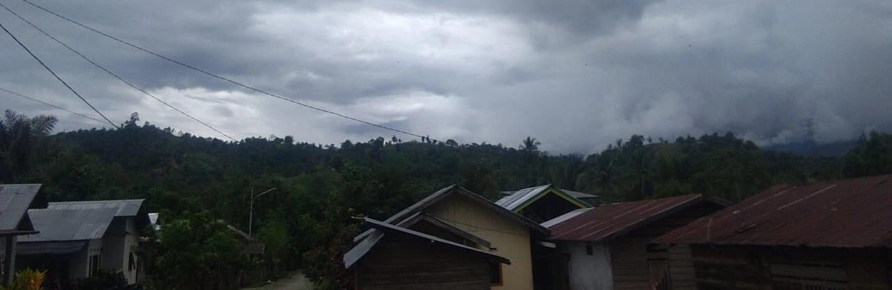 Ngata tupu Taa