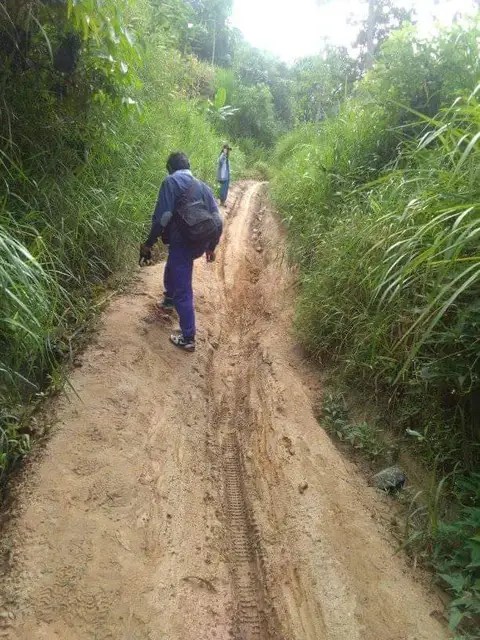 Sosialisasi Terjemahan