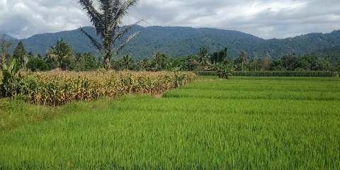 Lida nu tupu Taa ri Hintuwu