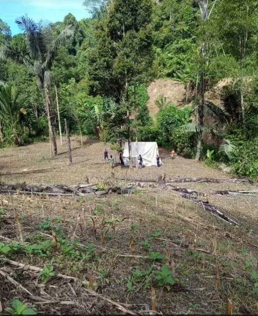 Lahan kebun jagung