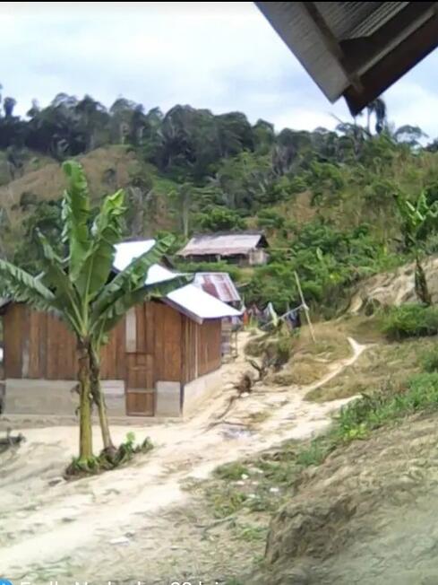 Bulu Tamaiku