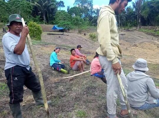 Tupu tuda dale
